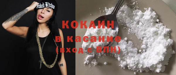индика Кукмор