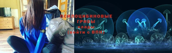 индика Кукмор