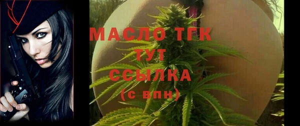 индика Кукмор