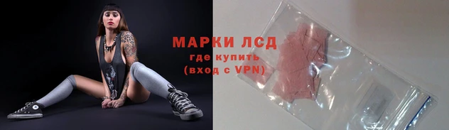 индика Кукмор
