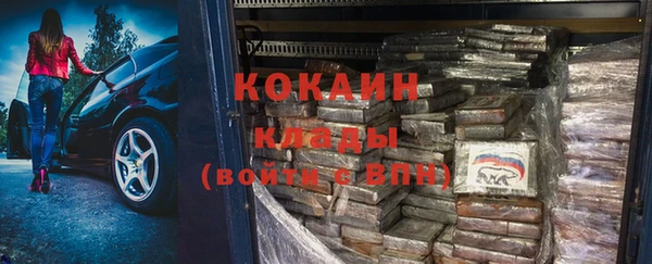 индика Кукмор