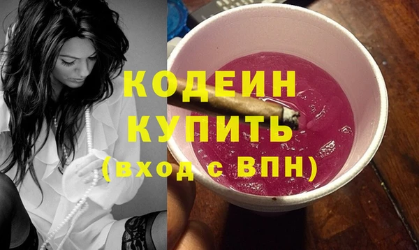 индика Кукмор