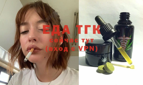 индика Кукмор