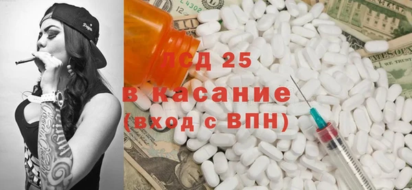 индика Кукмор