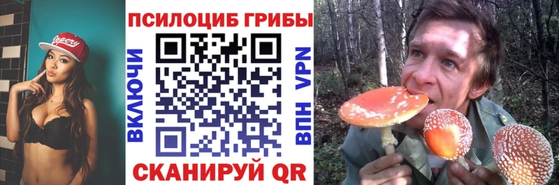 Псилоцибиновые грибы MAGIC MUSHROOMS  Купить закладки  Пучеж 